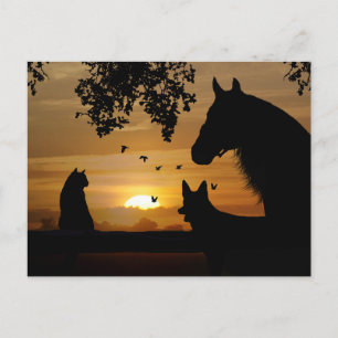 An Animal Lover's Delightful Postcard