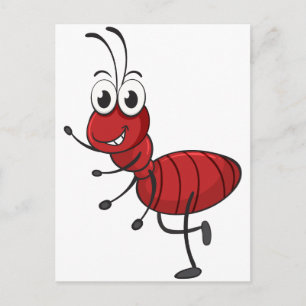 an ant postcard
