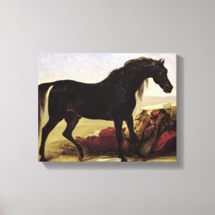 An Arabian Horse Canvas Print