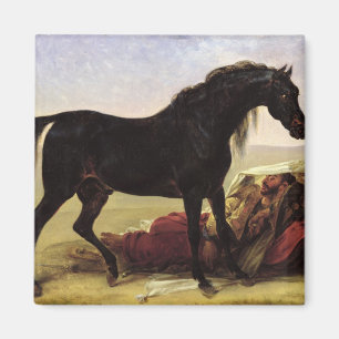 An Arabian Horse Magnet
