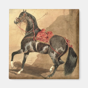 An Arabian Horse (w/c laid down on paper) Magnet