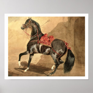 An Arabian Horse (w/c laid down on paper) Poster