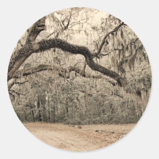 An Arch of Oakes Classic Round Sticker