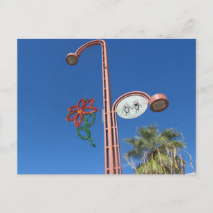 An Arizona Christmas! Holiday Postcard