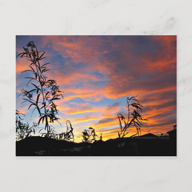 An Arizona Sunset Postcard (Front)