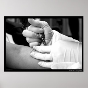 An Artist At Work Poster