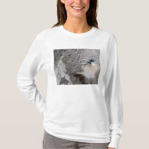 An ash rich plume rises T-Shirt