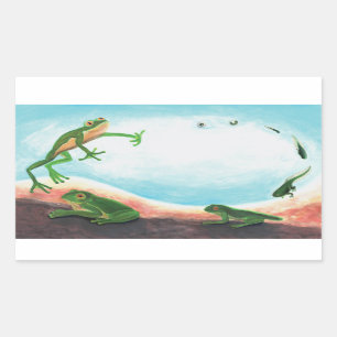 An astonishing life cycle of a frog Rectangular Sticker