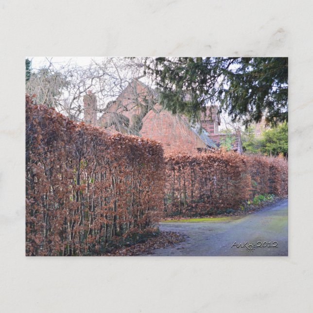 An Autumn Day Postcard (Front)