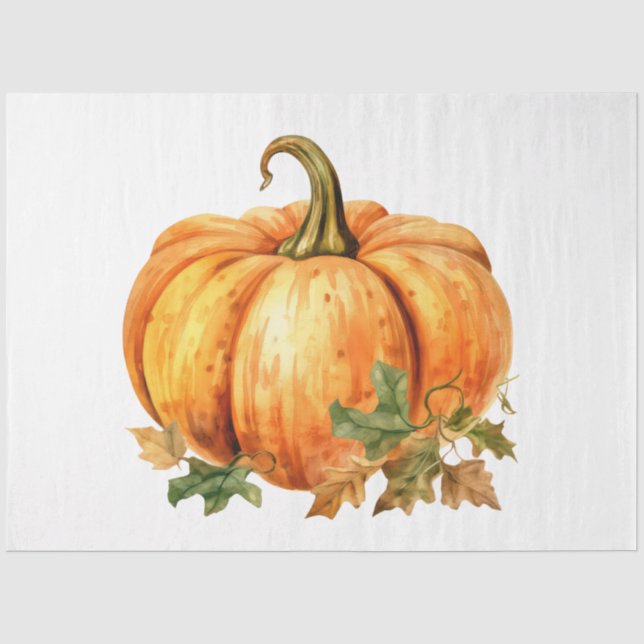 An Autumn Pumpkin Design Collection 7 Tissue Paper (Front)