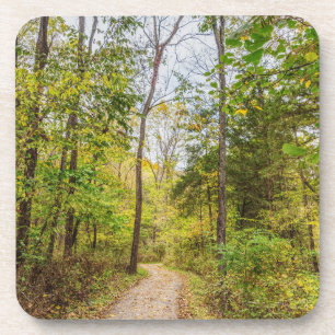 An Autumn Runge Walk Coaster