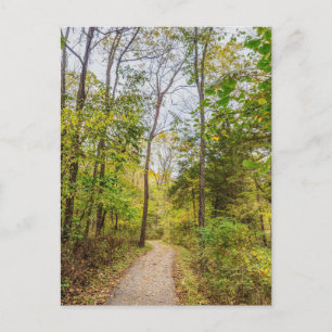 An Autumn Runge Walk Postcard