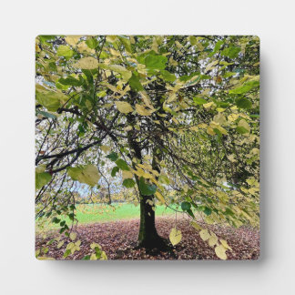 An autumn walk plaque