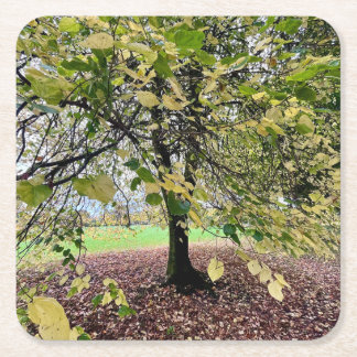 An autumn walk square paper coaster