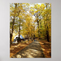 An autumn walk through the park