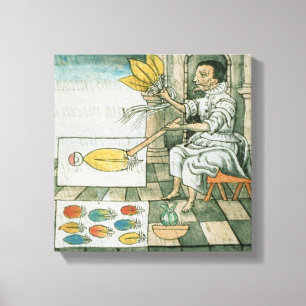 An Aztec feather artisan Canvas Print