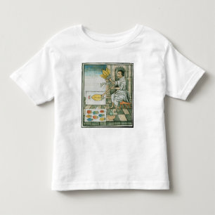An Aztec feather artisan Toddler T-Shirt