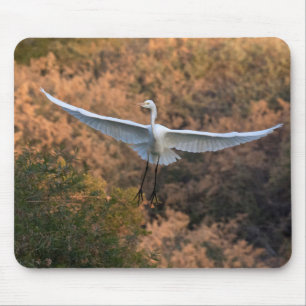 An Egret flies Mouse Pad
