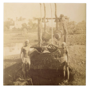 An Egyptian Irrigation Machine on the Banks of the Tile