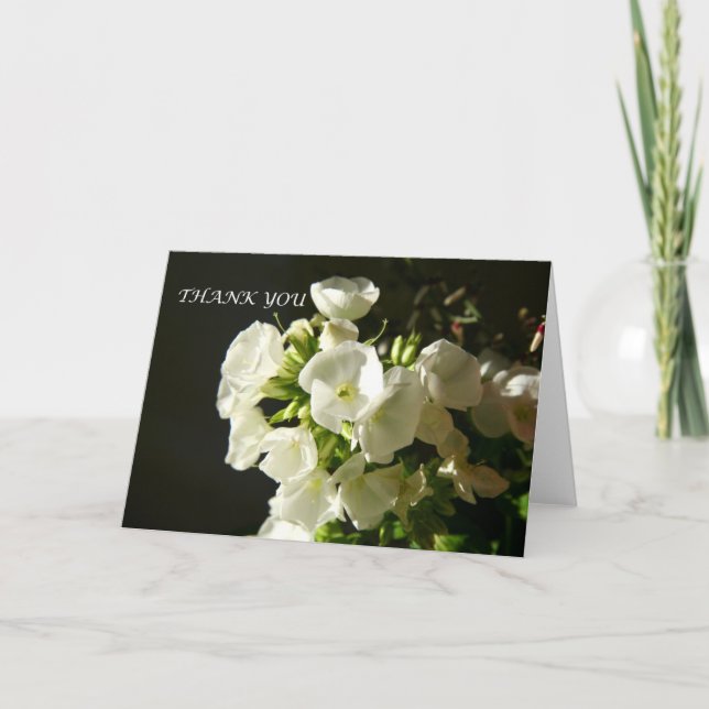 An Elegant Thank You Garden Phlox Card (Front)