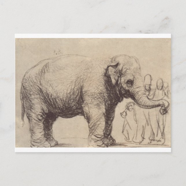 An Elephant by Rembrandt Postcard (Front)
