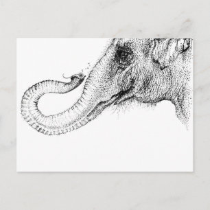 An elephant's faithful 100% postcard