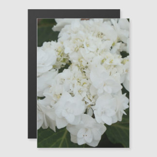 An enchanting wedding gown hydrangea magnetic invitation
