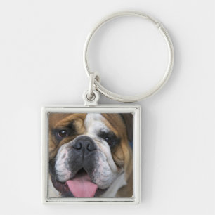 An english bulldog in Belgium. Key Ring
