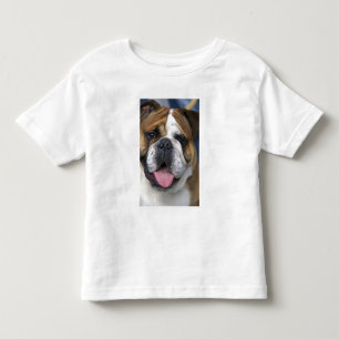 An english bulldog in Belgium. Toddler T-Shirt