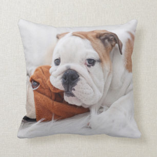 An English Bulldog Puppy Playing With A Bulldog Cushion
