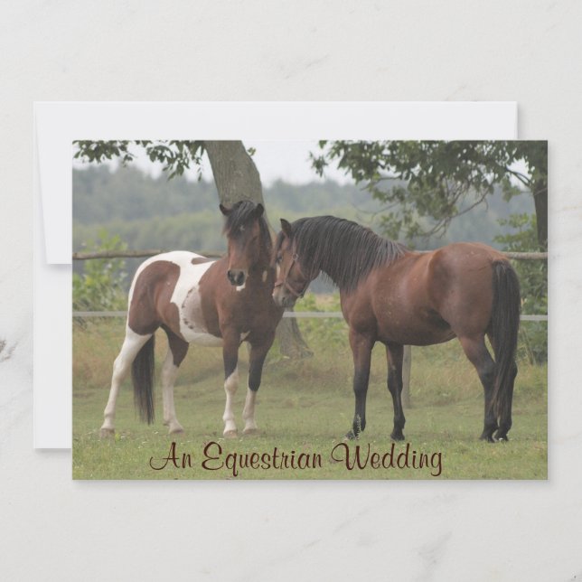 An Equestrian Wedding Invitation for Horse Lovers (Front)