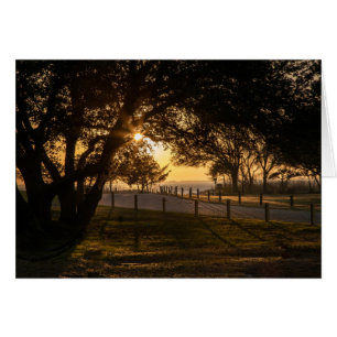 An Evening At Whalehead