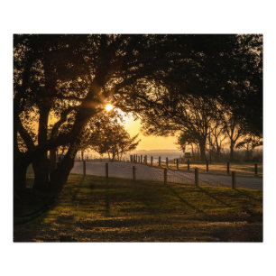 An Evening At Whalehead Photo Print