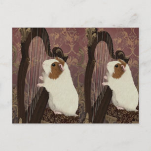 An Evening Recital – Artistic Guinea Pig Postcard