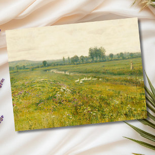 An Extensive Meadow Landscape with Geese Postcard