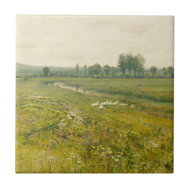 An Extensive Meadow Landscape with Geese Tile (Front)