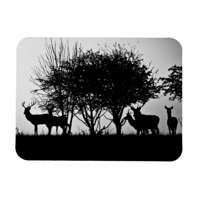 An image of some deer in the morning mist magnet (Horizontal)