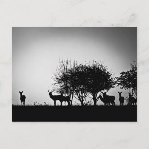 An image of some deer in the morning mist postcard