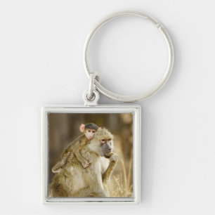 An infant Yellow Baboon(Papio Key Ring