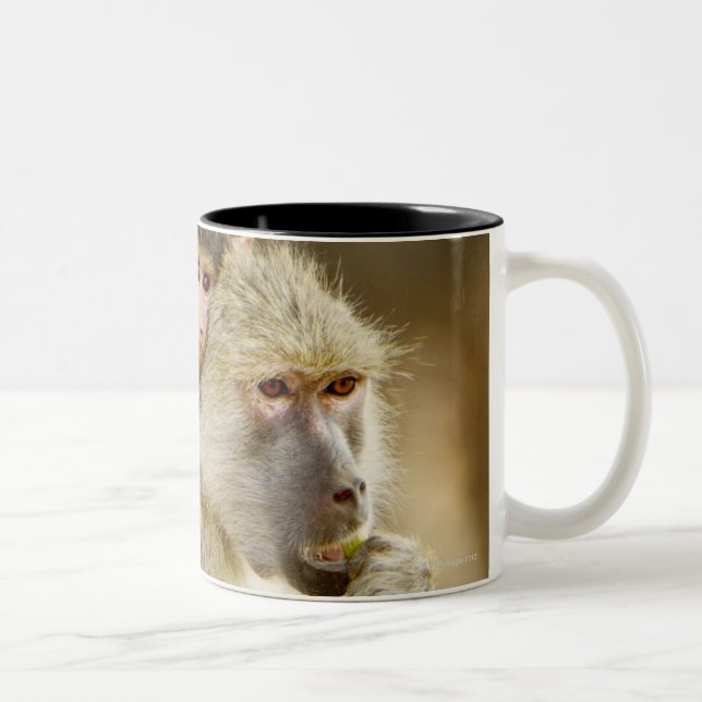 An infant Yellow Baboon(Papio Two-Tone Coffee Mug (Right)