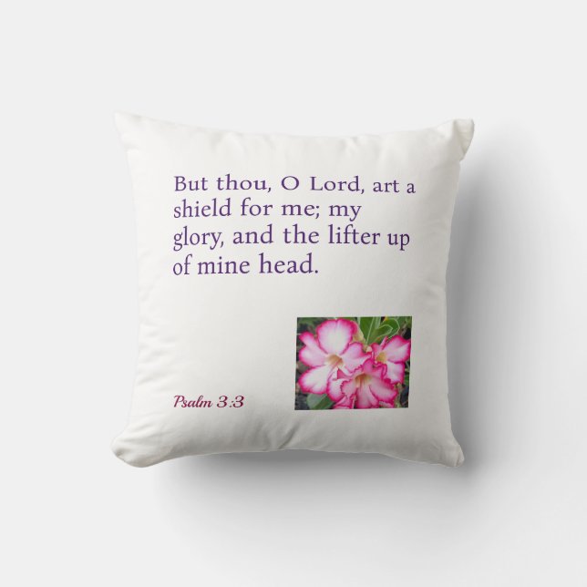 An Inspirational Throw Pillow (Front)