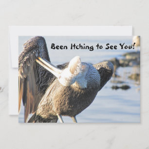 An Invitation from Pelican