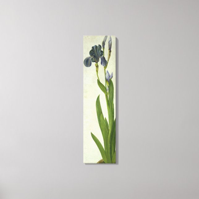 An Iris Canvas Print (Front)