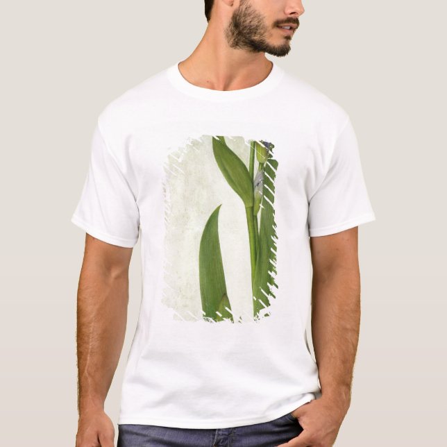 An Iris T-Shirt (Front)