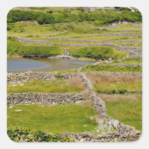 An Irish Stone Wall Square Sticker