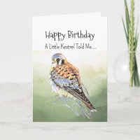 An Kestrel Personality Birthday Fun Bird