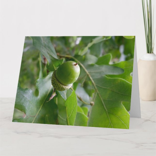 an oak fruit card (Front)