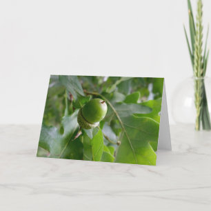 an oak fruit card