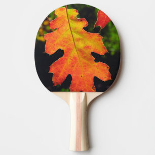 An Oak Leaf in Six Rivers National Forrest Ping Pong Paddle