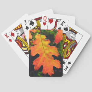 An Oak Leaf in Six Rivers National Forrest Playing Cards